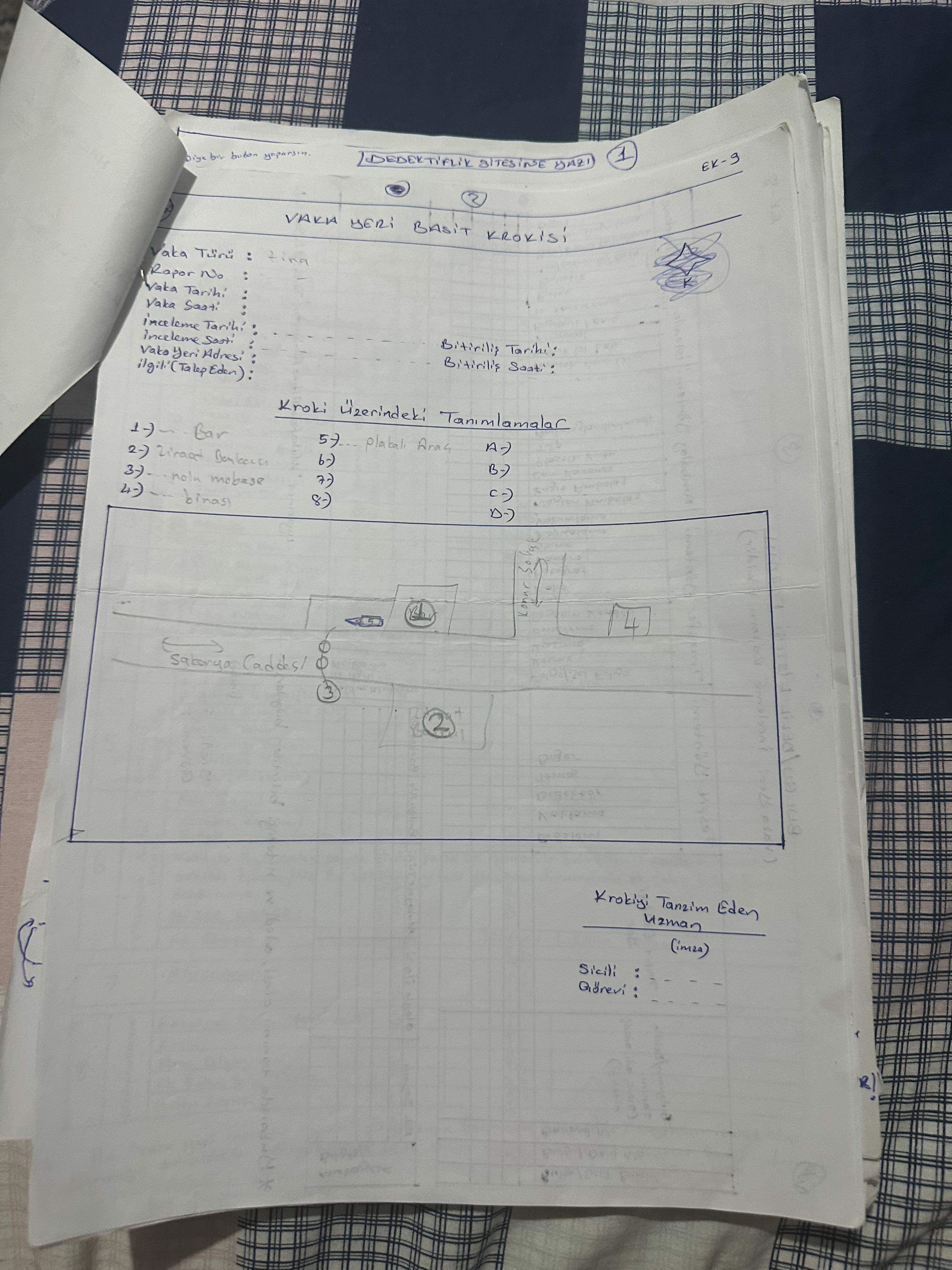EMF Dedektiflik Görsel 2